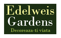 Edelweiss Gardens